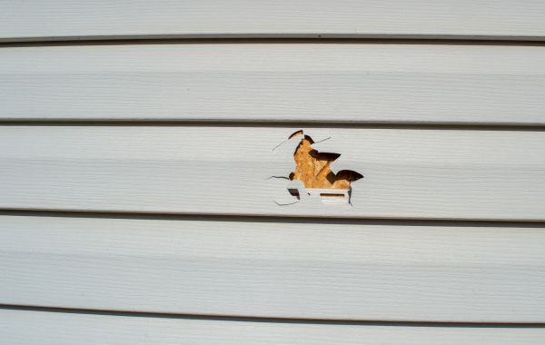 Siding Hole Repair in Traverse City